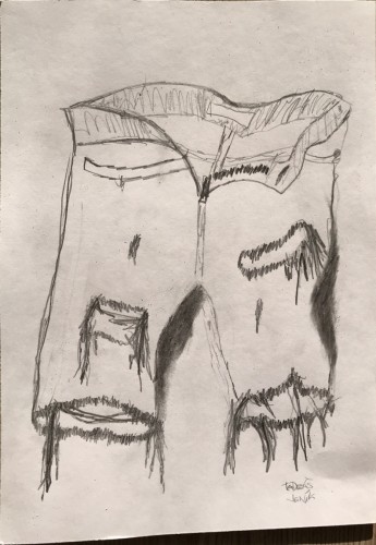Image Description
